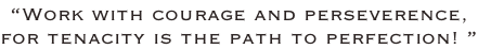 “Work with courage and perseverence, for tenacity is the path to perfection! ”